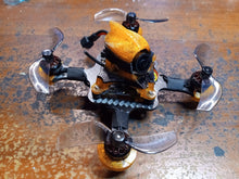 Load image into Gallery viewer, AcroGnat